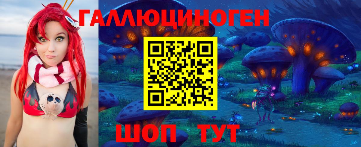 Галлюциногенные грибы Psilocybine cubensis Санкт-Петербург