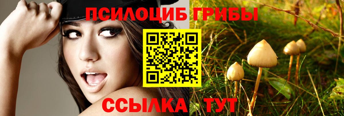 Галлюциногенные грибы GOLDEN TEACHER  Вход с VPN  Санкт-Петербург 